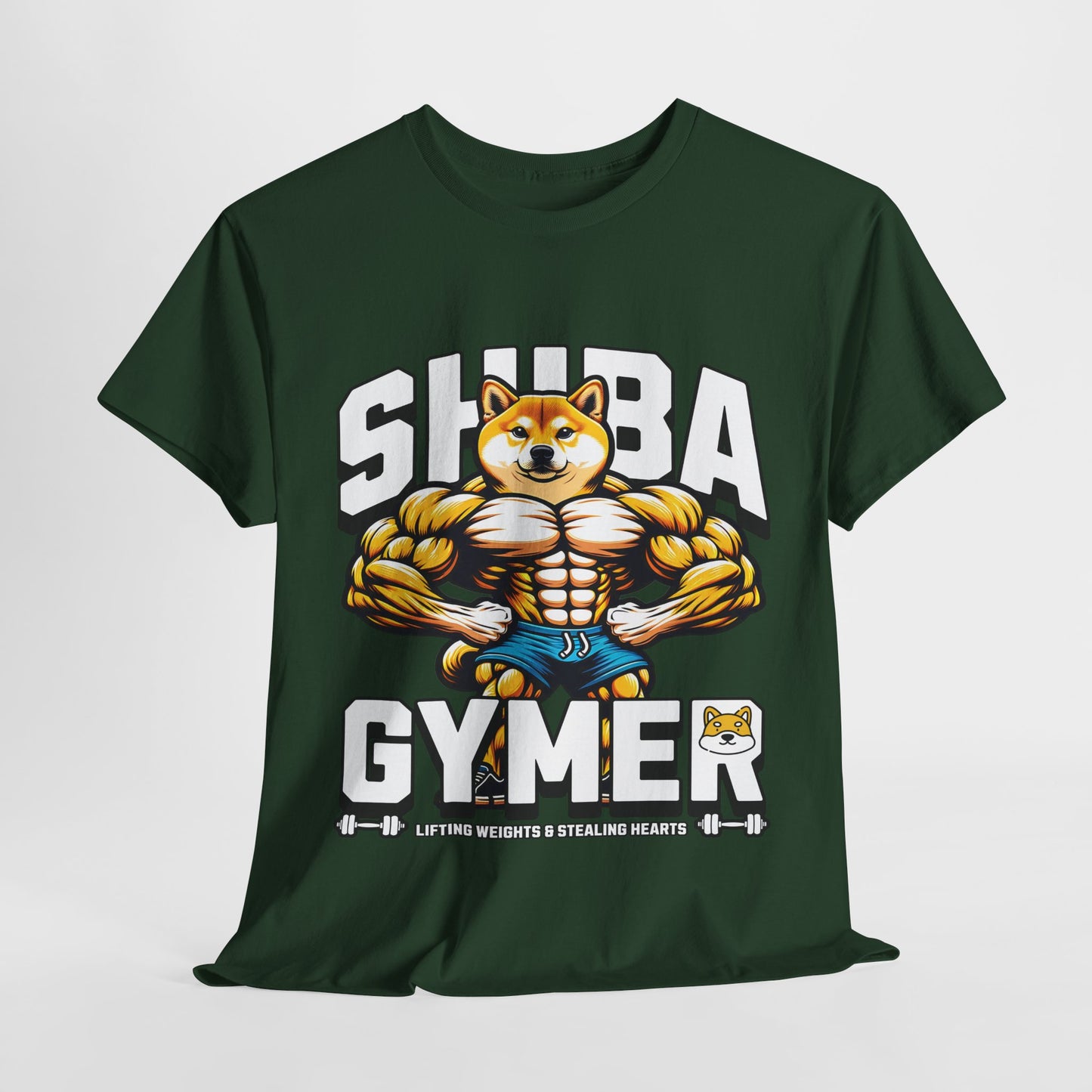 Shiba Gymer